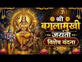 🌼 “Divine and Powerful Stuti of Maa Baglamukhi” माँ बगलामुखी वंदना | जयंती विशेष वंदना 2026🌼