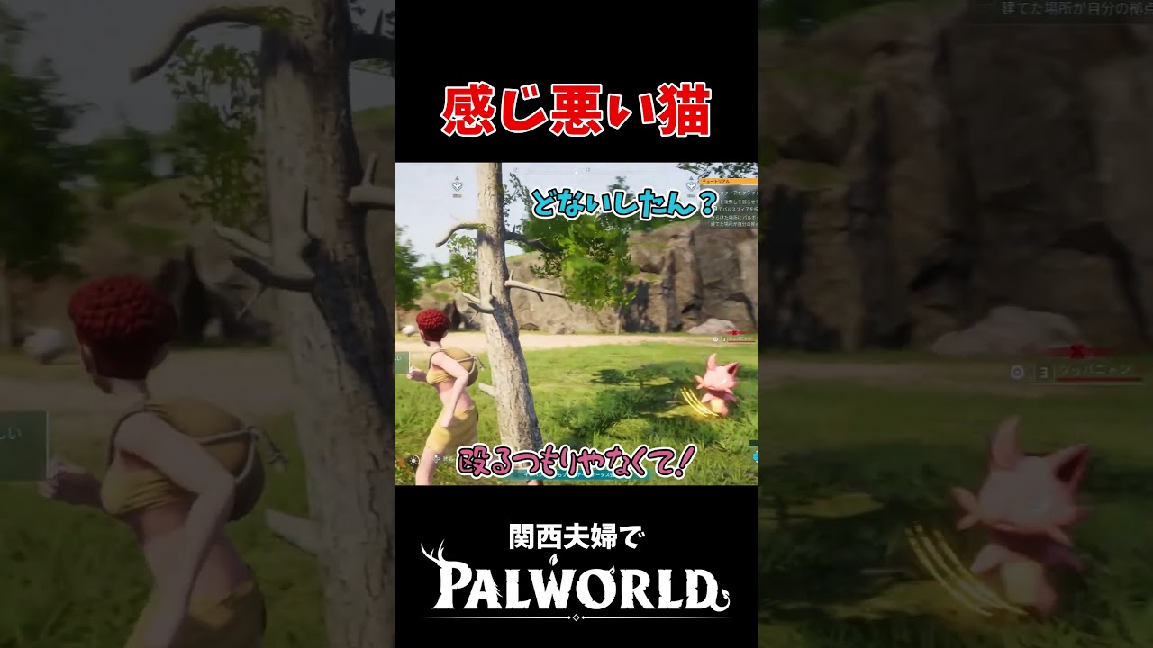 猫ってこんな感じよな #shorts #ゲーム実況 #パルワールド #palworld #ポケモン #爆笑