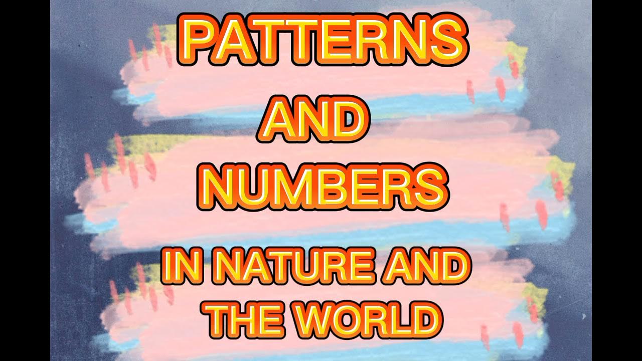 PATTERNS AND NUMBERS IN NATURE AND THE WORLD (MMW) YouTube