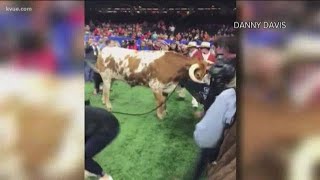 PETA calls for colleges to stop using live animals as mascots