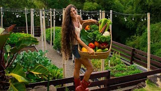 How I Built My Garden in Hawaii 🌱 Beginning to End Transformation 🌶️ Organic, Sustainable & Non-GMO screenshot 2