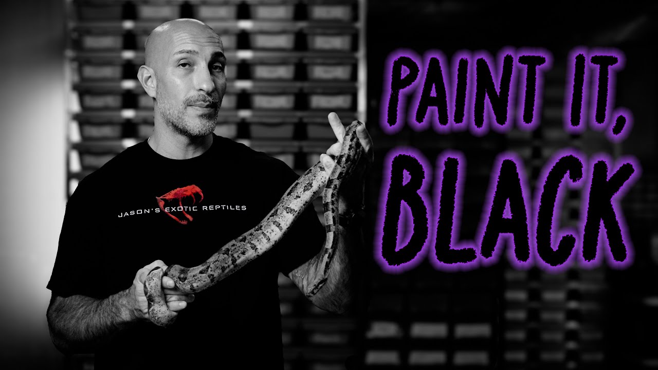 Как определить, является ли мой удав изображением, используя реальные примеры сравнения.