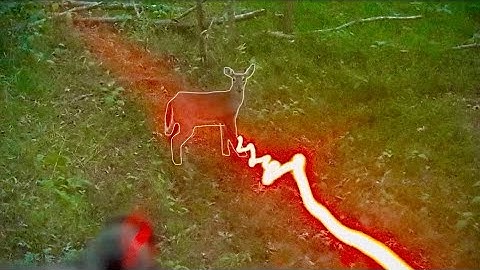 Crossbow Doe Kill with 3” Swhacker Broadhead