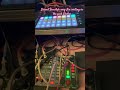 #freestyle #circuittracks #dawless #Electro