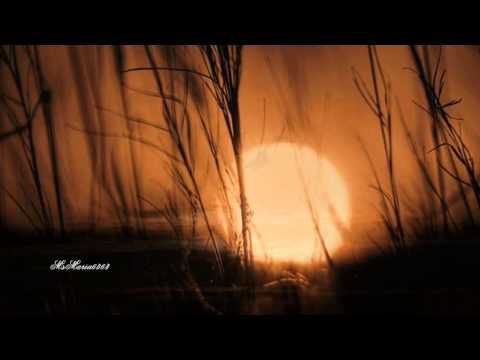 Ver Claude Ciari - Sunrise, Sunset (HQ) en YouTube