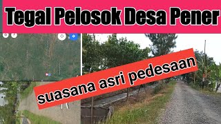 Download Lagu Pemandangan Desa | Desa Pener, Pangkah, Tegal | Suasana Kampung Pener Pangkah Tegal MP3