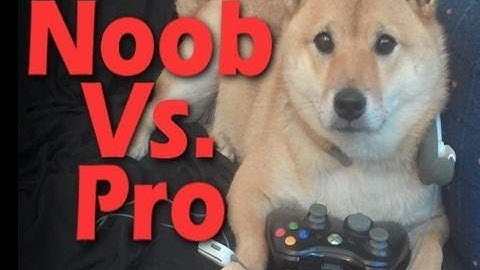 Noob vs. Pro: AVP Preview with baby!