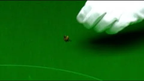 Wasp Disturbs Play At Dafabet Masters Snooker 2020...