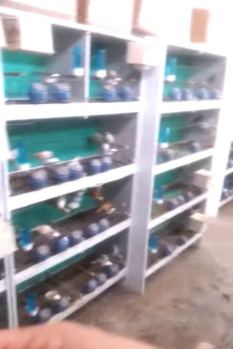 كناري لنقاش