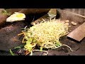 콤보볶음우동(소고기+해산물)/ 갤러리아백화점 수원점 / Fried Noodles (Beef + Seafood) / korean street food / 한국길거리음식 ,k-food