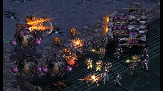 BATTLECRUISERS - Larva 🇰🇷 (Z) vs Royal 🇰🇷 (T) on Shakuras Temple - StarCraft - Brood War