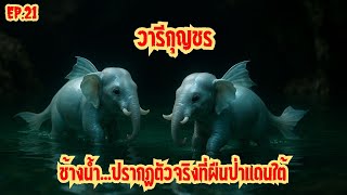 Download Lagu วารีกุญชร...ปรากฏตัวจริงที่ผืนป่าแดนใต้ l ช้างน้ำ: ตามรอยบันทึกลับ \ MP3 Download Lagu วารีกุญชร...ปรากฏตัวจริงที่ผืนป่าแดนใต้ l ช้างน้ำ: ตามรอยบันทึกลับ \ MP3