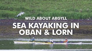 Wild About Argyll - Sea Kayaking In Oban Lorn