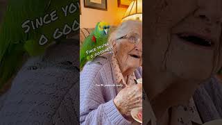Parrot Vs Grandma