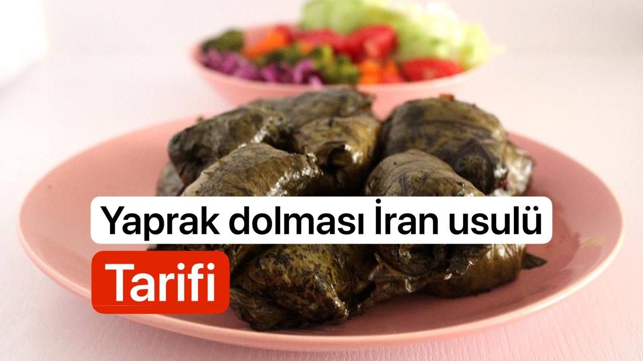 Yaprak dolması iran usulü tarifi     دلمه برگ مو ایران
