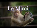 21  investigation  le miroir