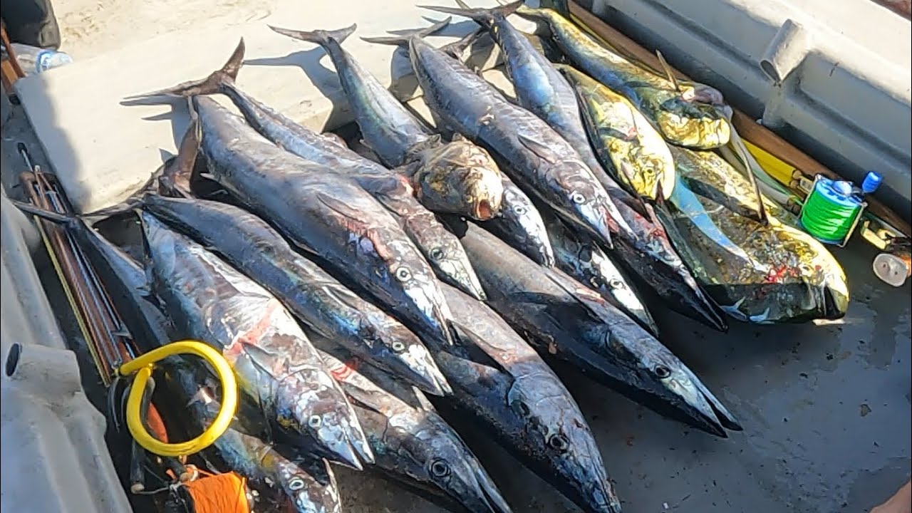 Bali 2025, spearfishing