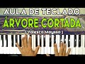 AULA DE TECLADO - ÁRVORE CORTADA - Valesca Mayssa - VIDEO AULA COMPLETA