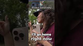 Sketch calls out Cinna #mayahiga #alveussanctuary #thesketchreal #cinna