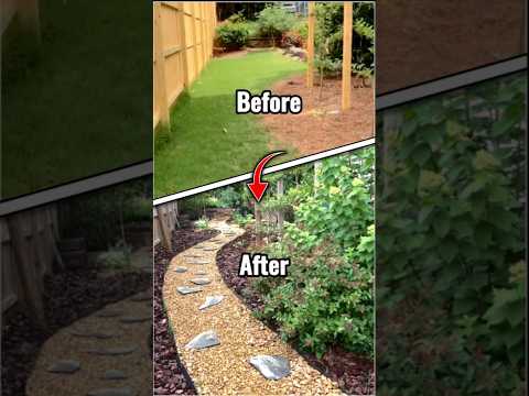 back yard garden design