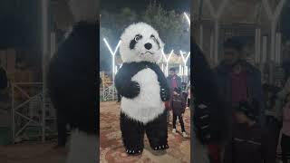 @EpicBuzzBee viral panda short video 📸📷 #panda #funny #cute #cutepanda #animals