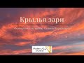 Крылья зари | Фонограмма на песню Симона Корольского (Wings of the Dawn)