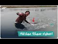اصطياد سمكة عملاقة في الموصل العراقية 