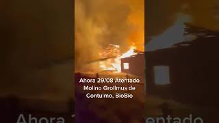 Atentado incendiario contra icónico Molino Grollmus en Contulmo, región del Biobío