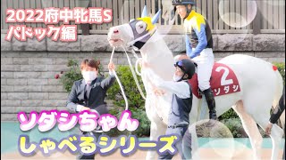 しゃべるシリーズ【ソダシの府中牝馬S】パドック編