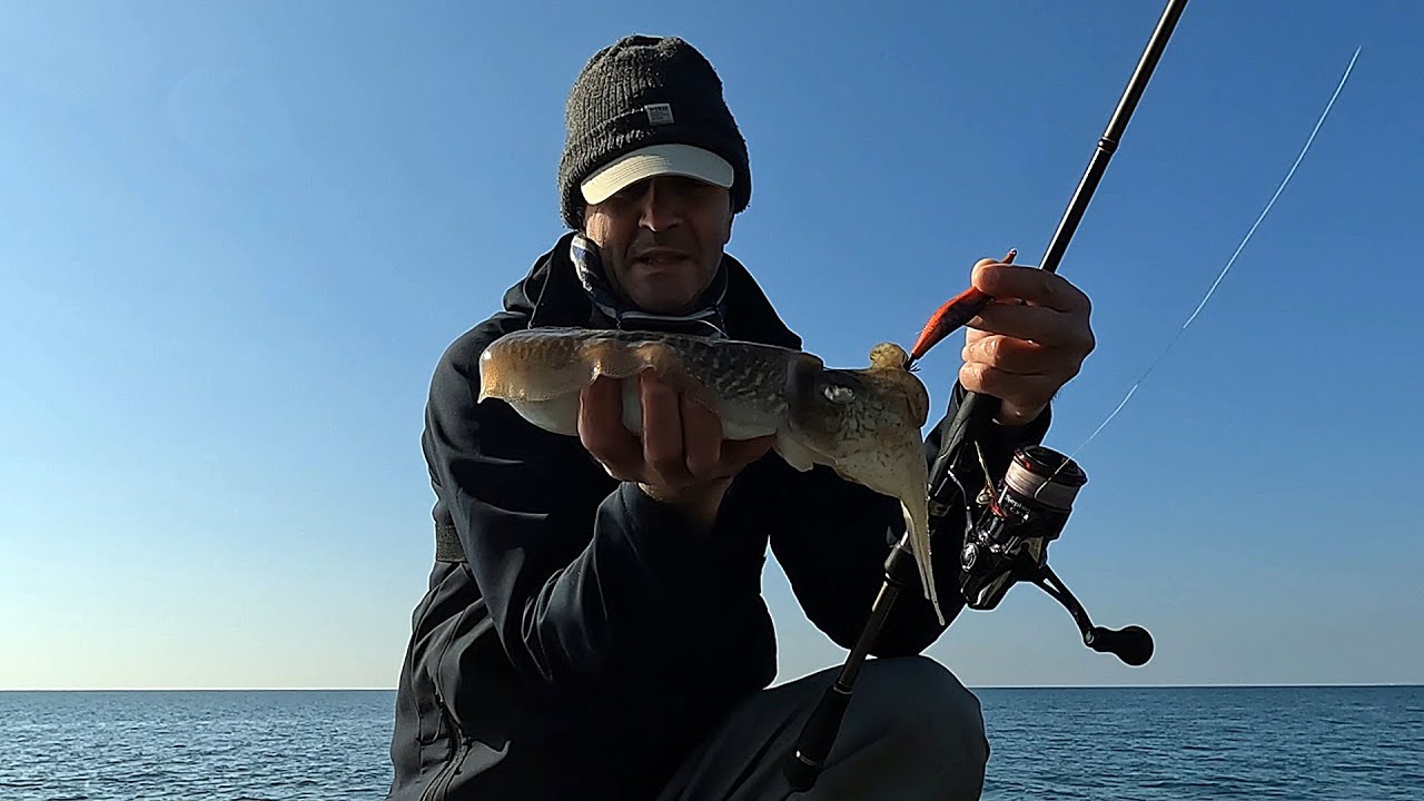 Pesca a Eging CANNE e LANCI