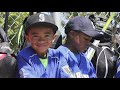 Seattle Mariners: Get Connected with Youth Baseball and Softball in the Community