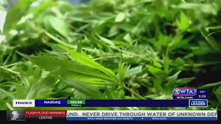 Attorney General and residents react to recreational marijuana legislation