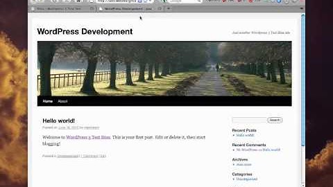 WordPress 3 MultiSite Setup