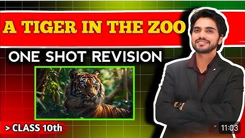 A tiger in the zoo class 10 in hindi | class 10 english poem a tiger in the zoo by dear sir