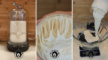 Very active sourdough starter. Goldie Sourhouse asmr #sourdough #sourdoughstarter #asmr #sourhouse