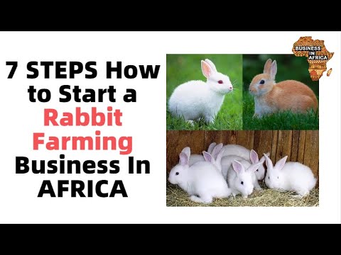 rabbit farming business plan south africa