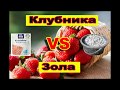 Подкормка клубники ЗОЛОЙ. Зола VS Клубника.