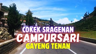 CAMPURSARI COKEK SRAGENAN BASS GLERR PALING GAYENG UNTUK TEMAN ISTIRAHAT LEYEH LEYEH