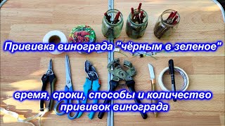 видео: Прививка винограда  картинка: Прививка винограда