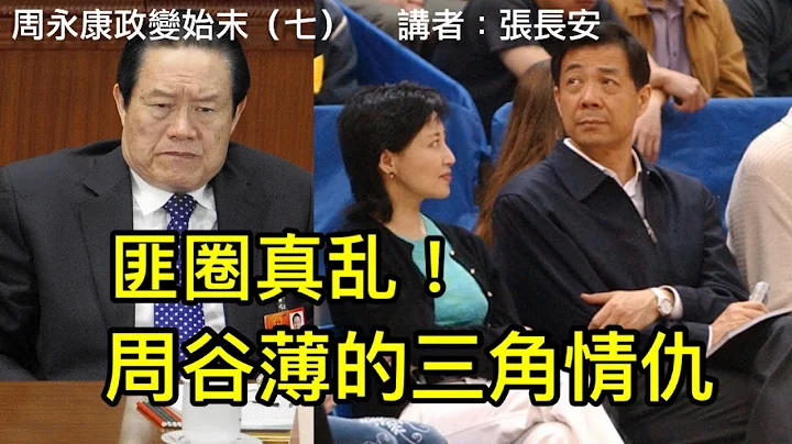 谷开来被捕后交代，曾遭周永康玩弄；薄周同盟太脆弱，薄熙来怒揭周永康三宗罪(周永康政变始末7） - 天天要闻