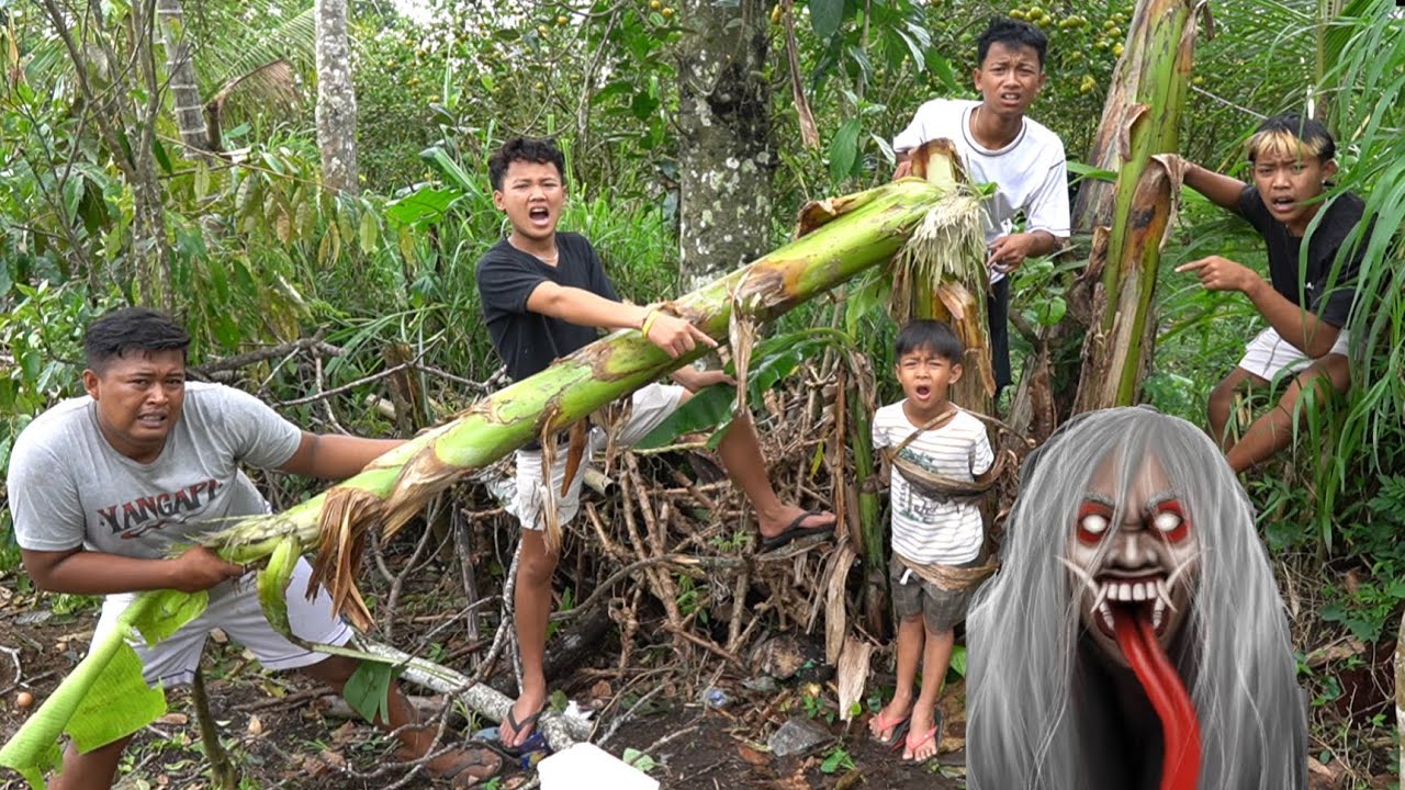 RAMA DI IK4T DI POHON PISANG GARA GARA H4NTU PENUNGGU POHON PIS4NG M4RAH