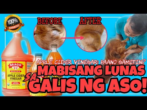 Video: 4 Mga Paraan upang Gamutin ang Pagdurugo sa Mga Kuko ng Aso