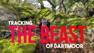Tracking the Beast of Dartmoor