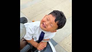 The dog's devotion was rewarded in its final moments #pets #cute #funny #shorts