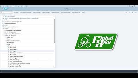 MIS305 Case 1 Step 12: Display Billing Document and Customer Invoice
