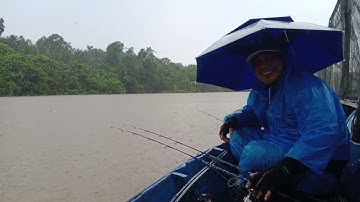 Baru beberapa jam mancing sudah di guyur hujan deras‼️saat mancing udang galah