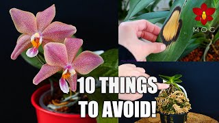 10 Things Orchids Hate - Avoid these things with your Orchid! | Orchid Care for Beginners