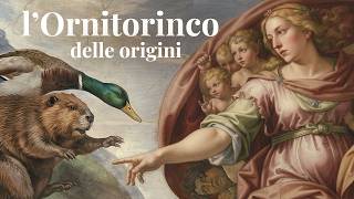 Collaborazioni fantastiche e come trovarle ft @Erica.castiglioni