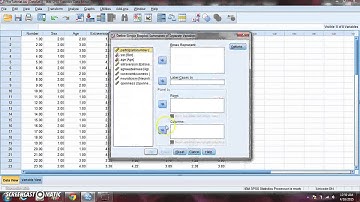 PSY 510 SPSS Tutorial 2 Descriptive Statistics