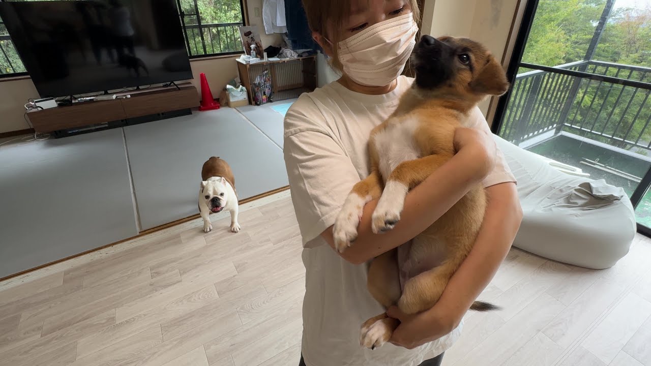 The last puppy rescued in the mountains has graduated from our